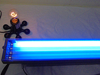blue 67